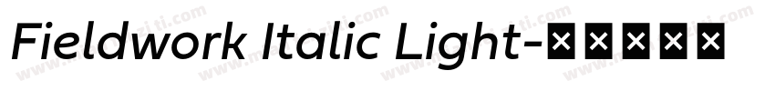 Fieldwork Italic Light字体转换